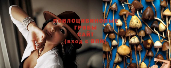 ешки Пролетарск