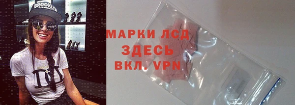 сатива Протвино