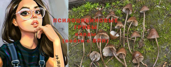 дмт Приозерск