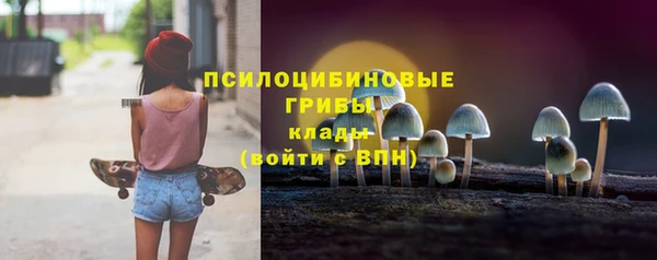 дмт Приозерск