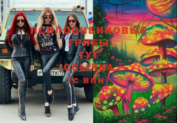 ешки Пролетарск