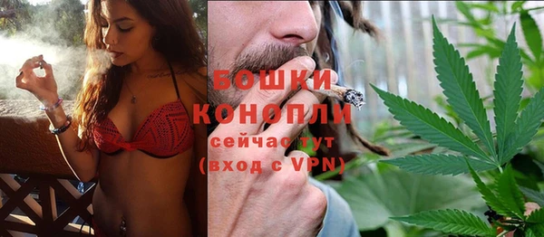 сатива Протвино