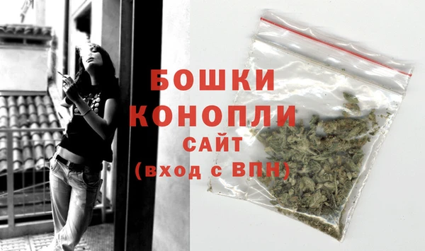 сатива Протвино