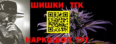 эйфоретик Славгород