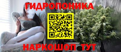 эйфоретик Славгород