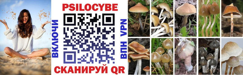Псилоцибиновые грибы мицелий  Тольятти 