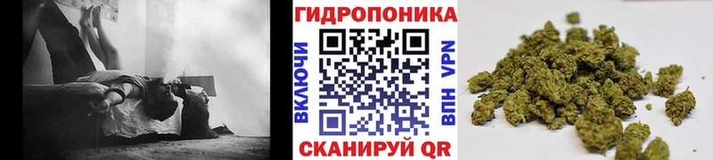 Бошки Шишки VHQ  мега ONION  Тольятти 